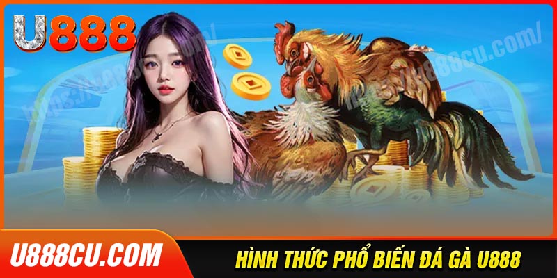 Các hình thức đá gà U888 đỉnh cao cho người chơi